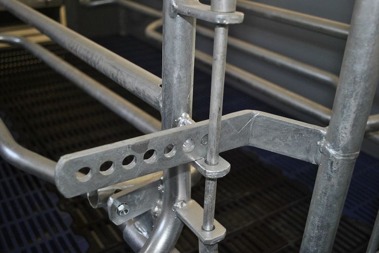 Farrowing pen 2(001).jpg