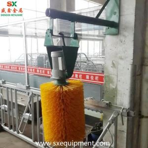 Brutbreda bovina broso